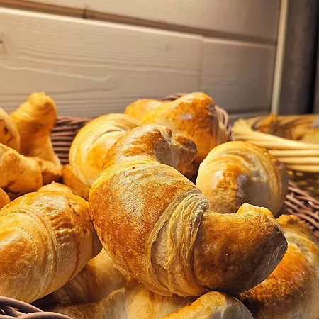 Brit Essentiel Albi Parc Des Expos Hotel 2*