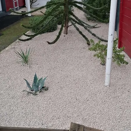 Brit Essentiel Albi Parc Des Expos